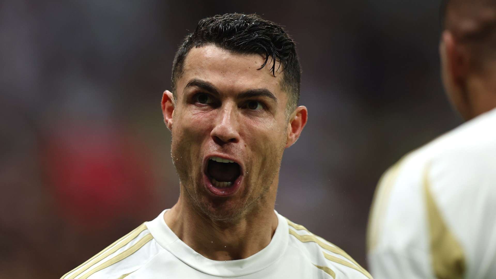 这篇文章将 这篇文章将