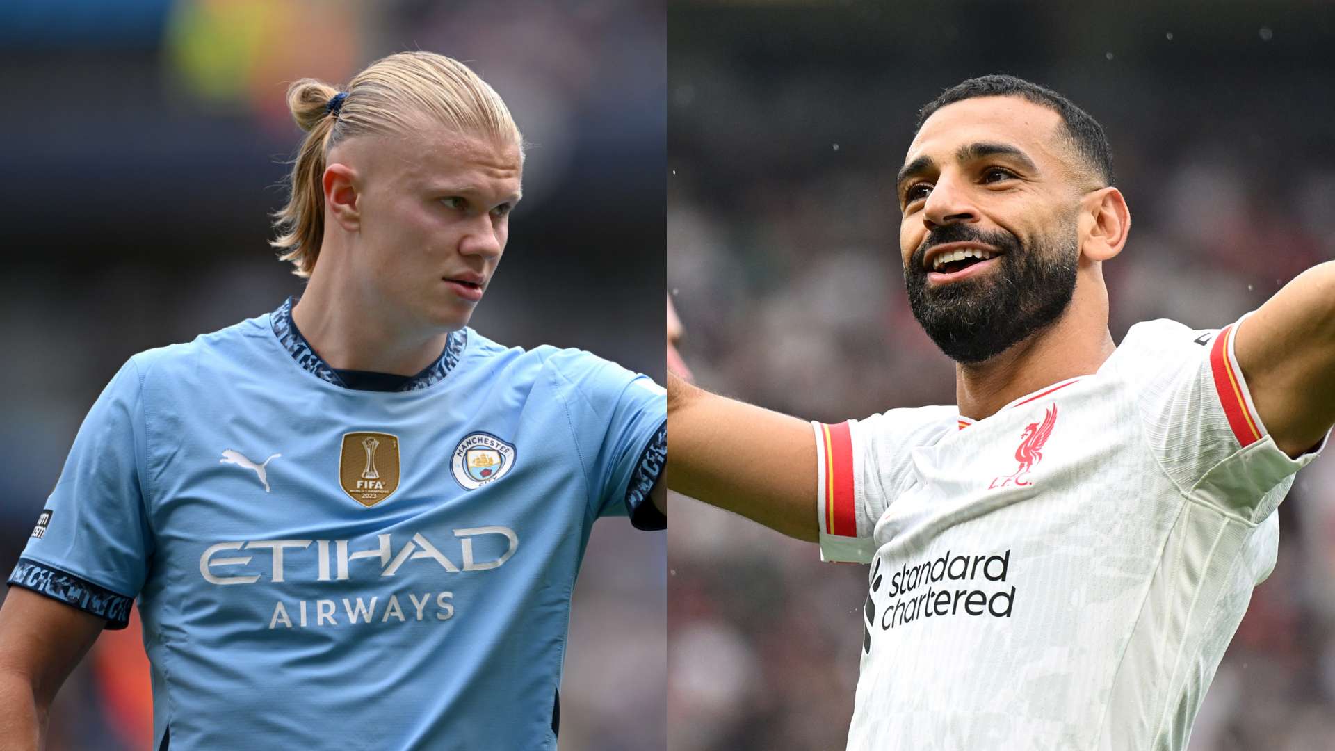 他们的职业 他们的职业